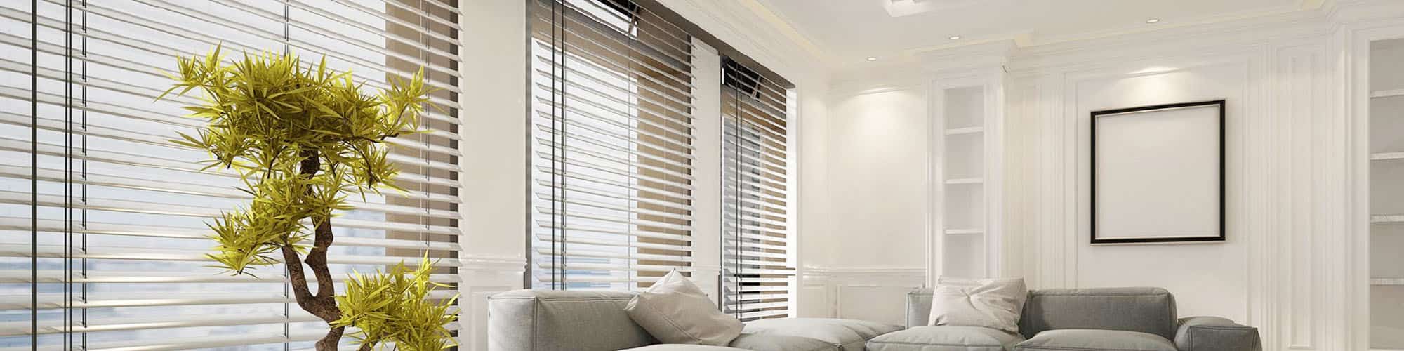 window blinds